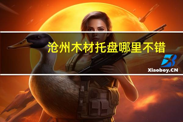 沧州木材托盘哪里不错
