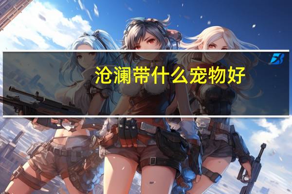 沧澜带什么宠物好