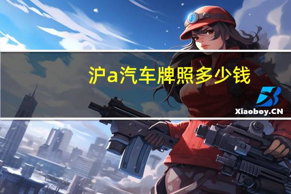 沪a汽车牌照多少钱