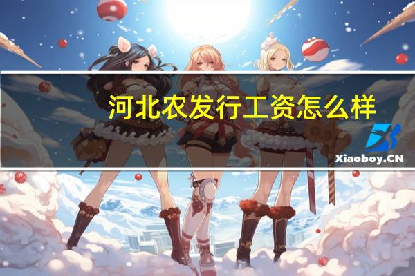 河北农发行工资怎么样