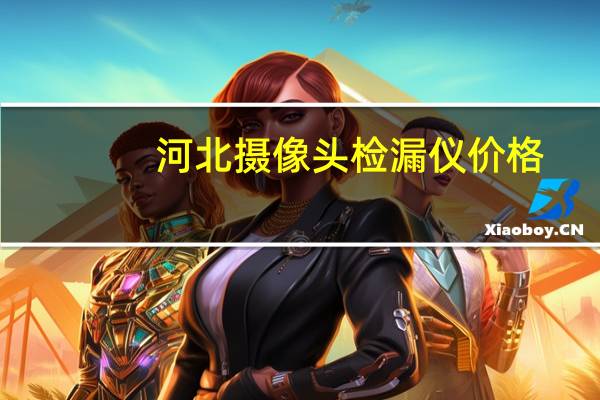 河北摄像头检漏仪价格
