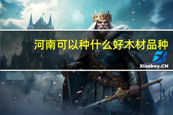 河南可以种什么好木材品种