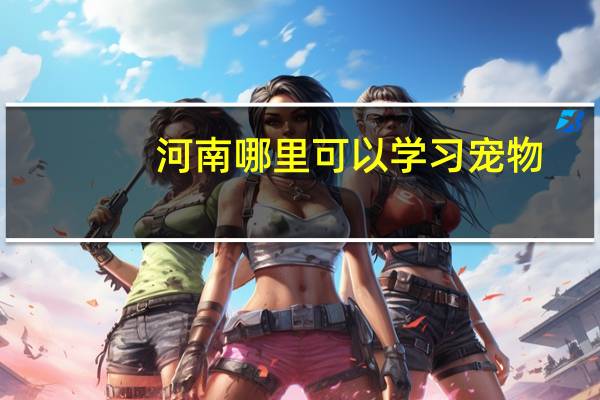 河南哪里可以学习宠物