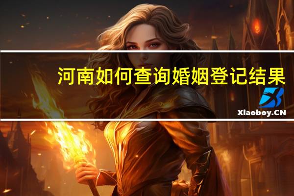 河南如何查询婚姻登记结果