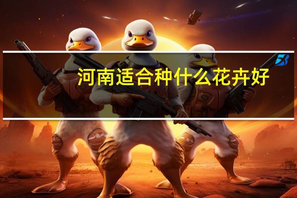 河南适合种什么花卉好