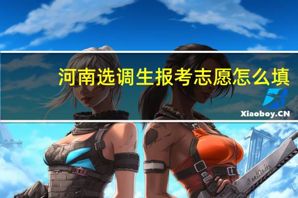 河南选调生报考志愿怎么填