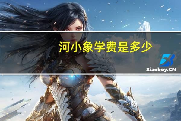 河小象学费是多少