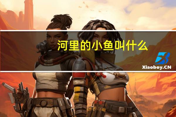 河里的小鱼叫什么