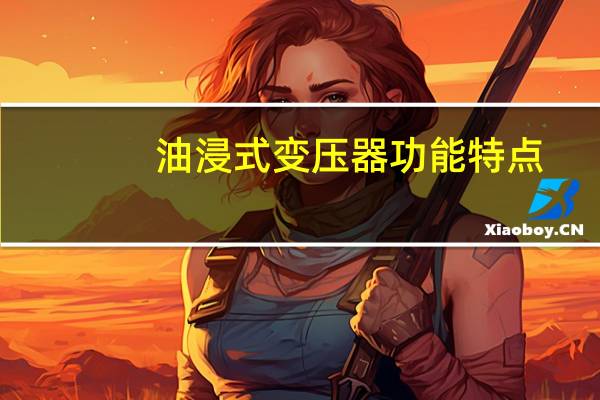 油浸式变压器功能特点