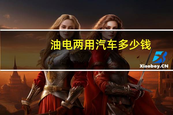油电两用汽车多少钱