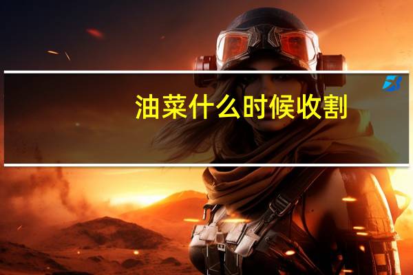 油菜什么时候收割