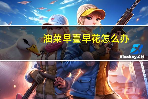 油菜早薹早花怎么办