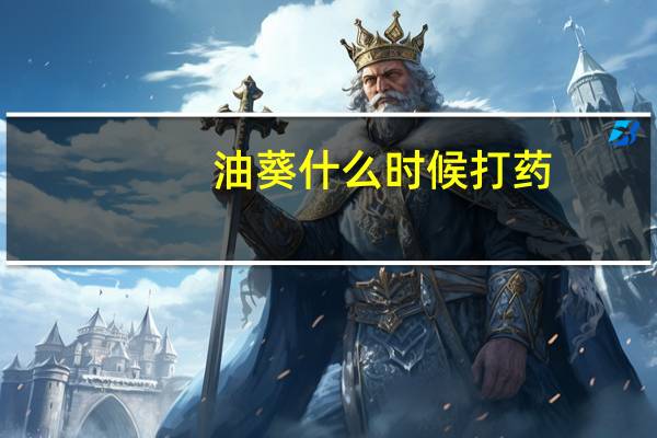 油葵什么时候打药