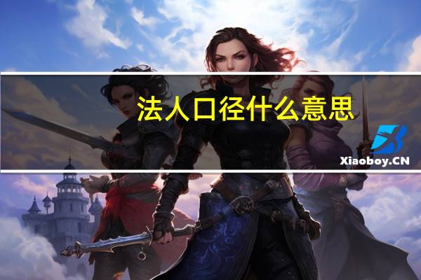 法人口径什么意思