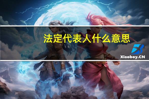 法定代表人什么意思