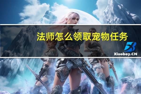 法师怎么领取宠物任务