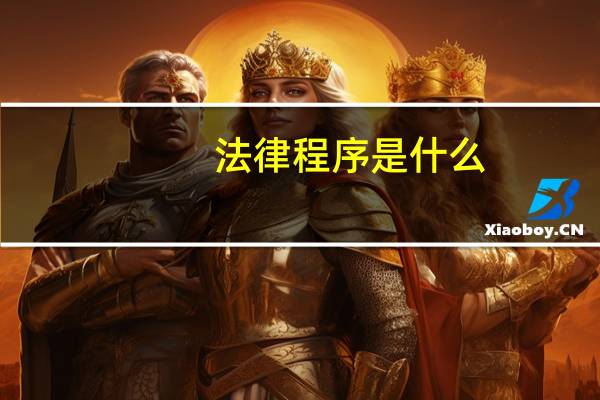 法律程序是什么