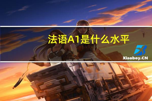 法语A1是什么水平