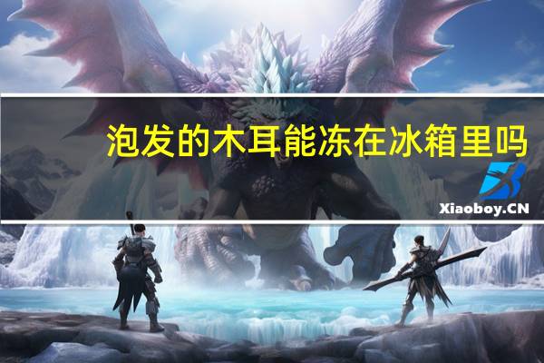 泡发的木耳能冻在冰箱里吗