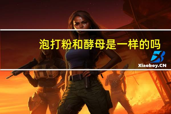 泡打粉和酵母是一样的吗