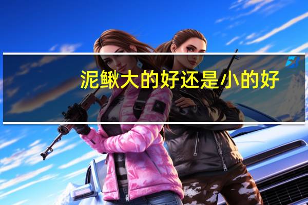 泥鳅大的好还是小的好