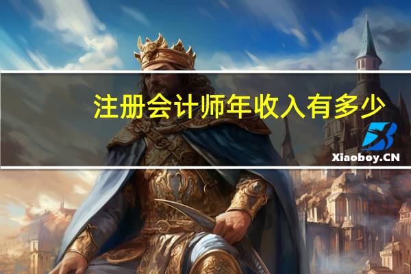 注册会计师年收入有多少