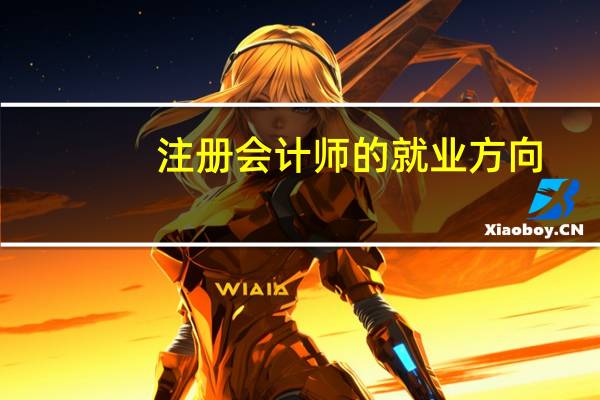 注册会计师的就业方向