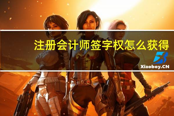 注册会计师签字权怎么获得
