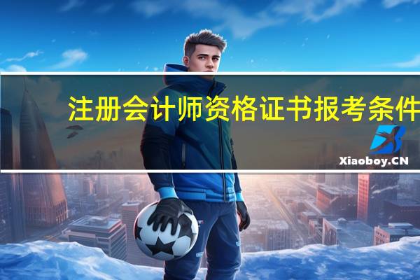 注册会计师资格证书报考条件