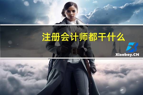 注册会计师都干什么
