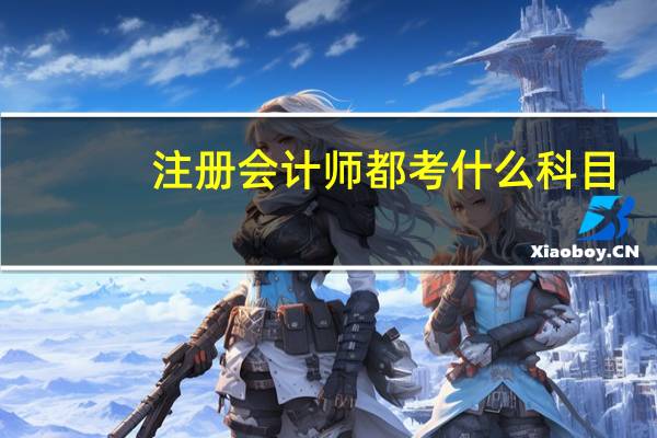 注册会计师都考什么科目