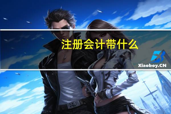 注册会计带什么