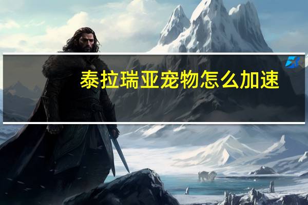 泰拉瑞亚宠物怎么加速