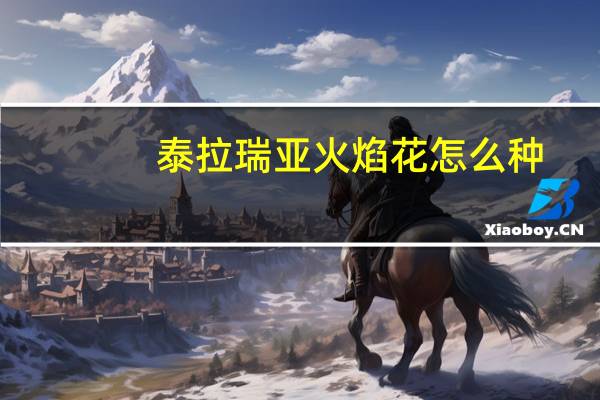 泰拉瑞亚火焰花怎么种