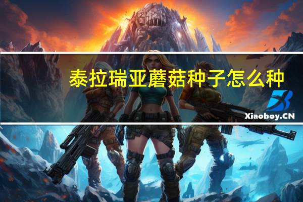 泰拉瑞亚蘑菇种子怎么种