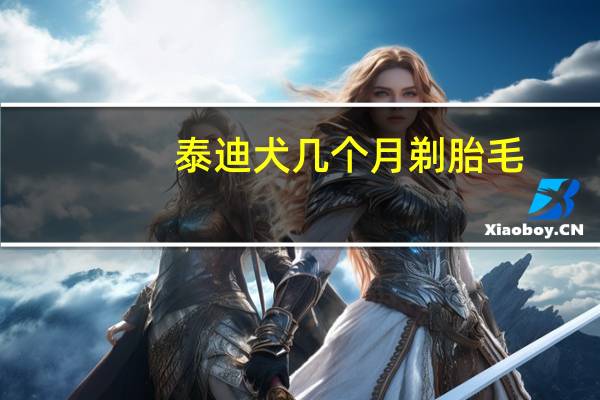泰迪犬几个月剃胎毛