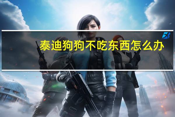 泰迪狗狗不吃东西怎么办