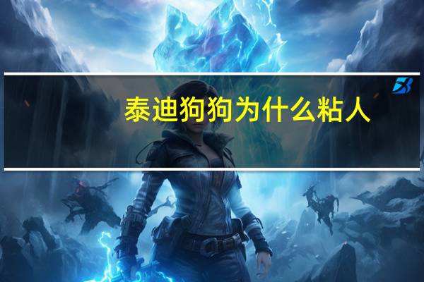 泰迪狗狗为什么粘人