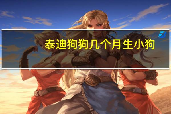 泰迪狗狗几个月生小狗