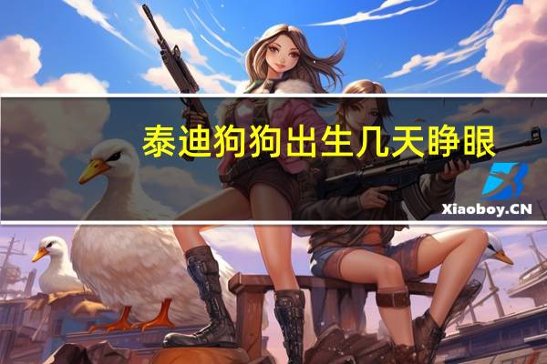 泰迪狗狗出生几天睁眼
