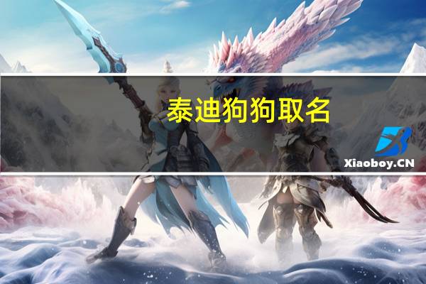 泰迪狗狗取名