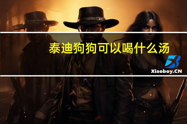 泰迪狗狗可以喝什么汤