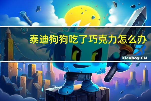 泰迪狗狗吃了巧克力怎么办