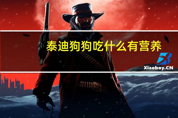 泰迪狗狗吃什么有营养