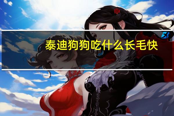 泰迪狗狗吃什么长毛快
