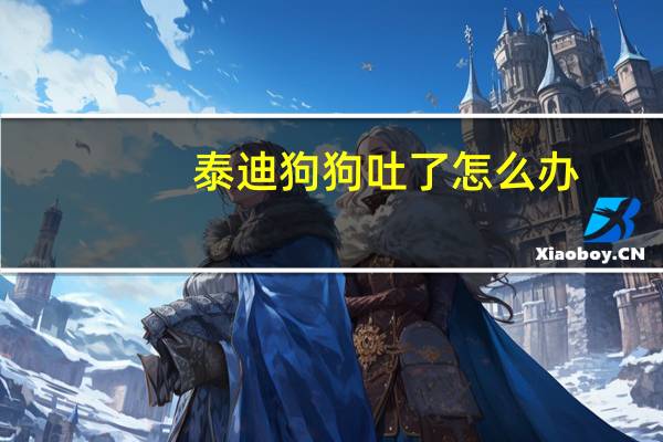 泰迪狗狗吐了怎么办