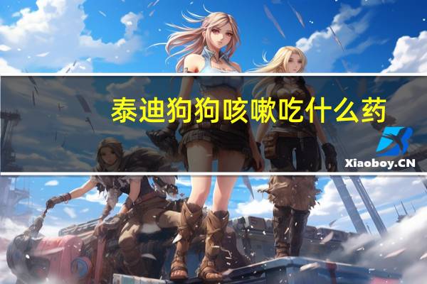 泰迪狗狗咳嗽吃什么药