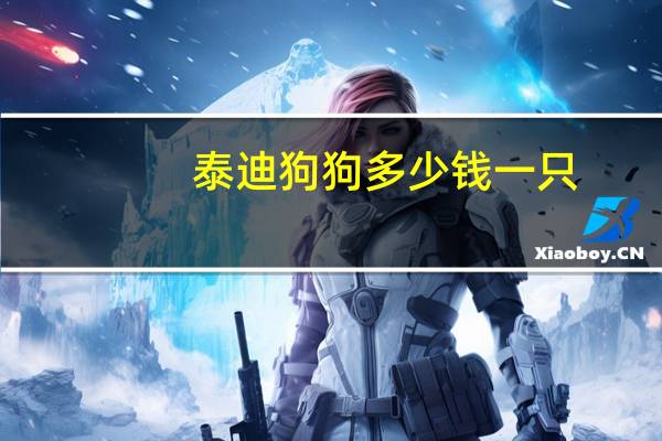 泰迪狗狗多少钱一只