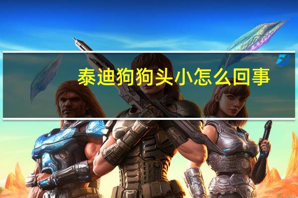 泰迪狗狗头小怎么回事