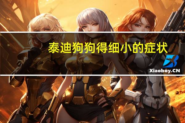泰迪狗狗得细小的症状